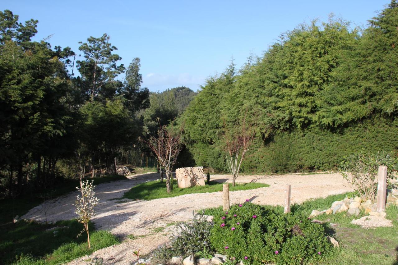 Quinta Japonesa Bed & Breakfast Carvalhal Bemfeito Exterior photo